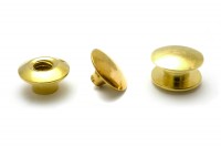 Buchschrauben Einpresskopf gold vermessingt