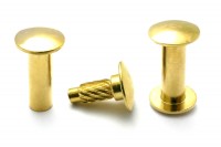 Buchschrauben Einpresskopf gold vermessingt